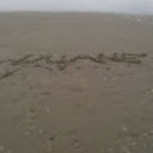 Meet your Posher, Duane